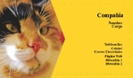 Veterinario 151-817