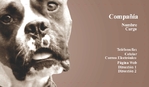 Veterinario 151-818