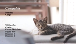 Veterinario 151-826