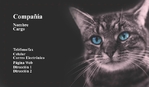 Veterinario 151-827