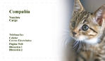 Veterinario 151-828