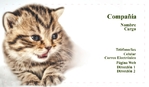 Veterinario 151-829