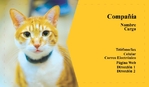 Veterinario 151-830